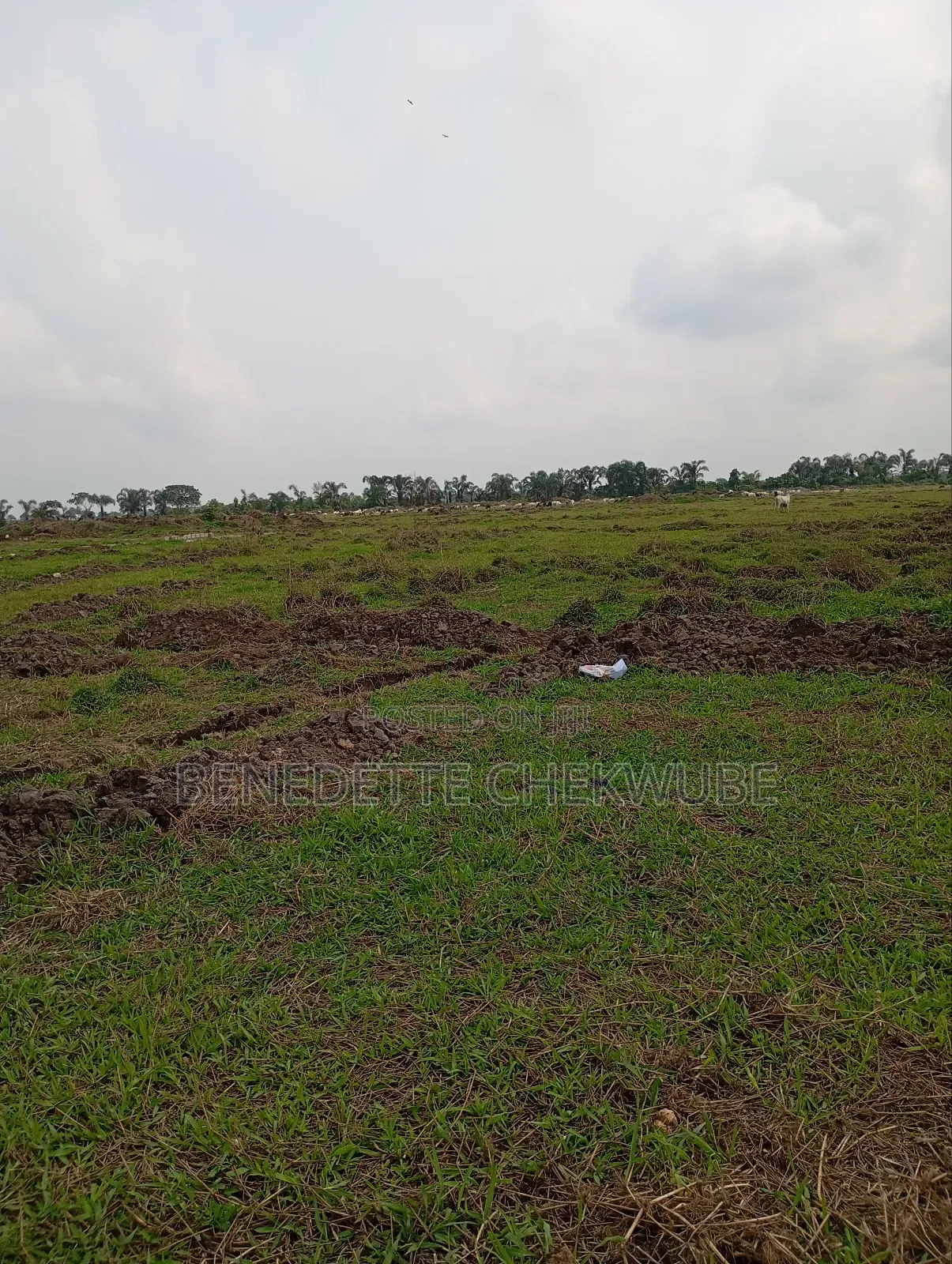 Four Plots of Land in Port-Harcourt