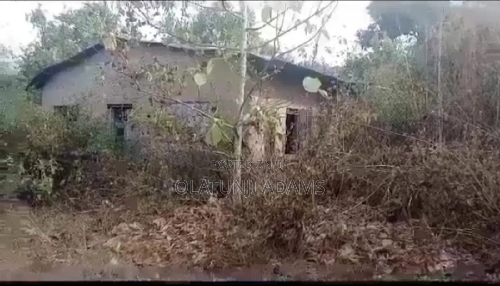 For Sale 25acres of Farmland With 1000,Trees of Cashew,Palm in Osogbo