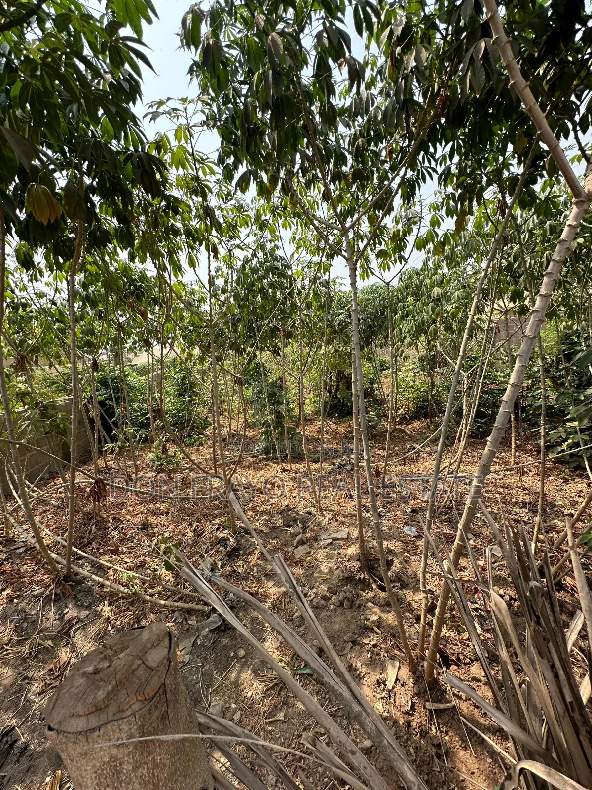 500 SQM Residential Land for Sale at Anifalaje Akobo in Akodo