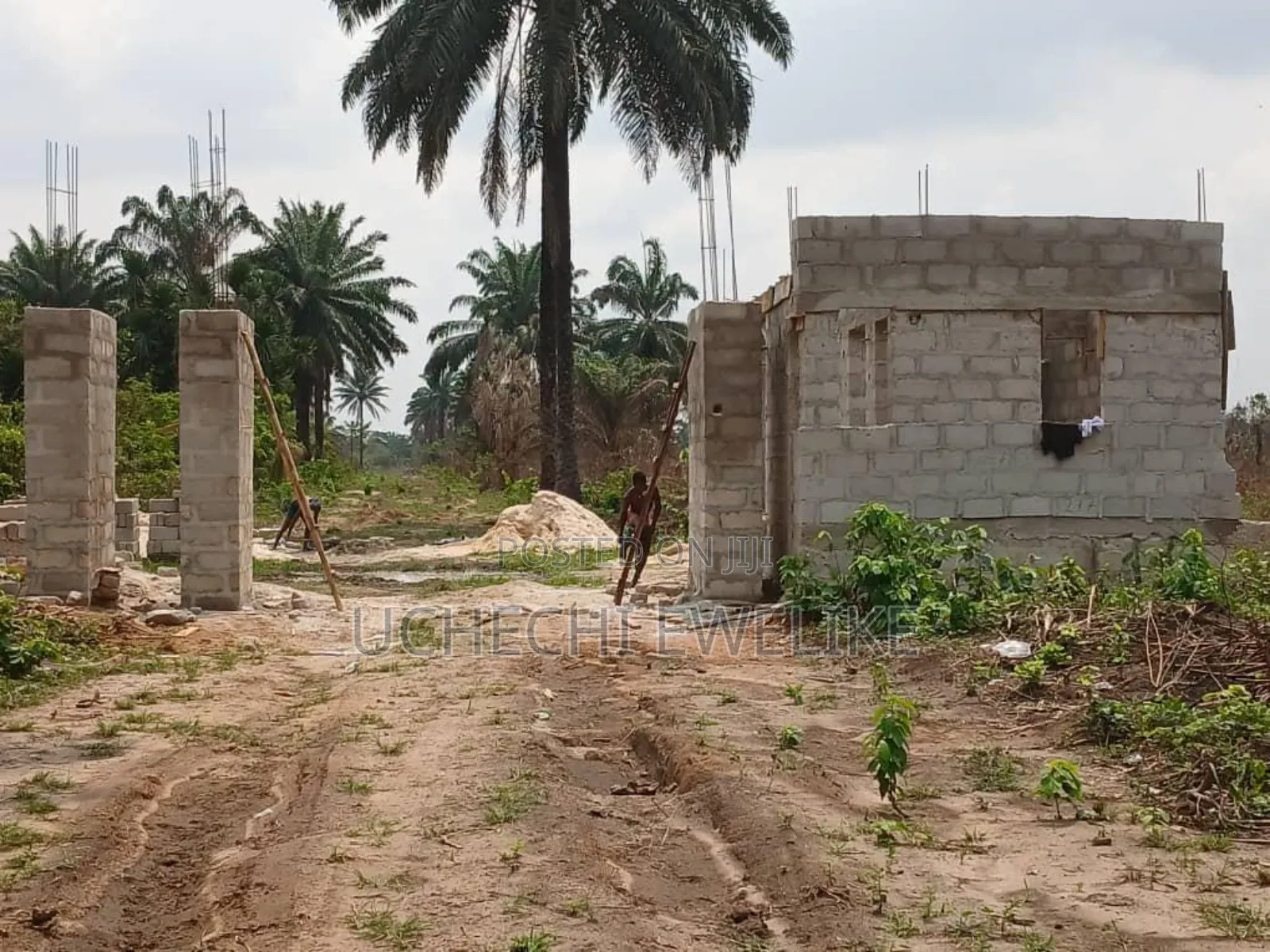 Affordable Land in Igwuruta-Ali Portharcourt in Port-Harcourt