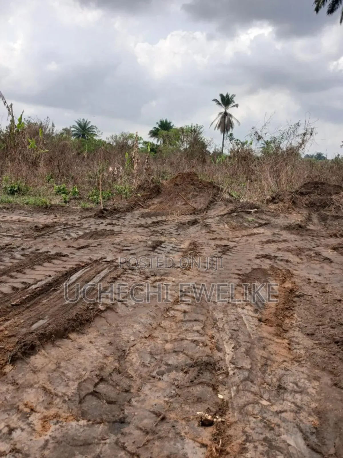 Affordable Land in Igwuruta-Ali Portharcourt in Port-Harcourt
