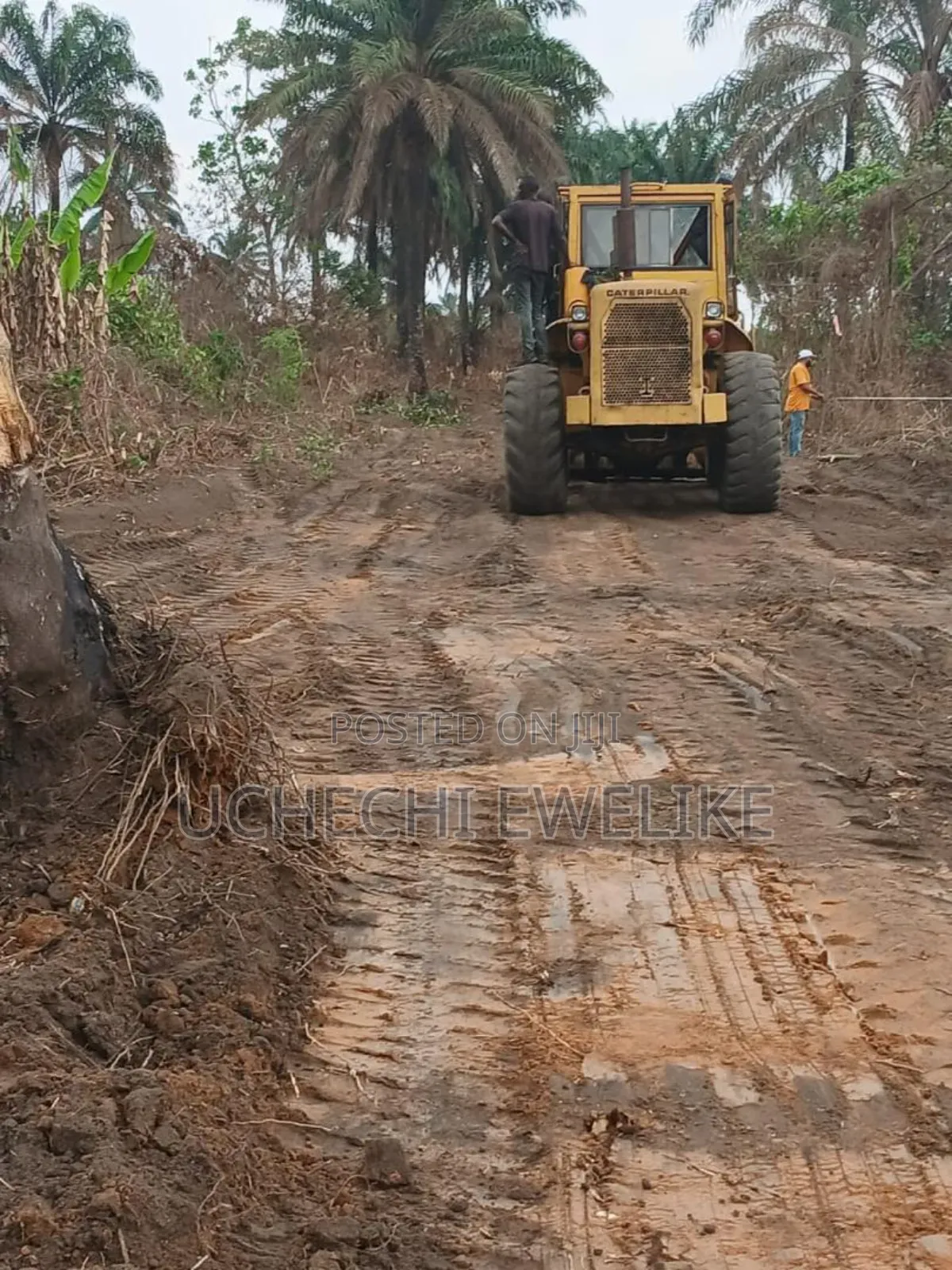 Affordable Land in Igwuruta-Ali Portharcourt in Port-Harcourt