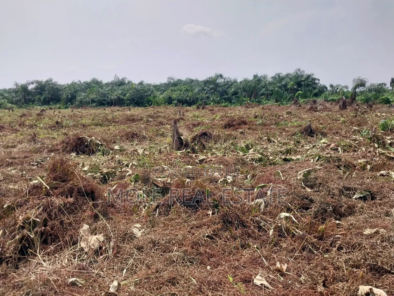 Full Plot of Land Ijegun Festac by Baptist Bustop in Ijegun