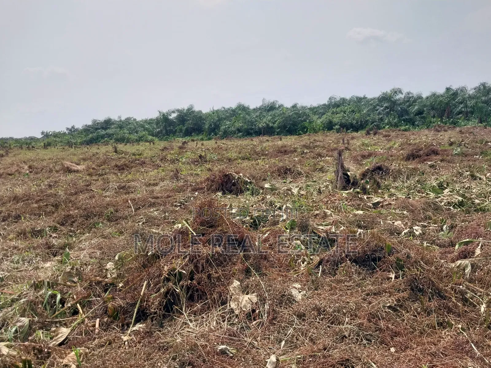 Full Plot of Land Ijegun Festac by Baptist Bustop in Ijegun