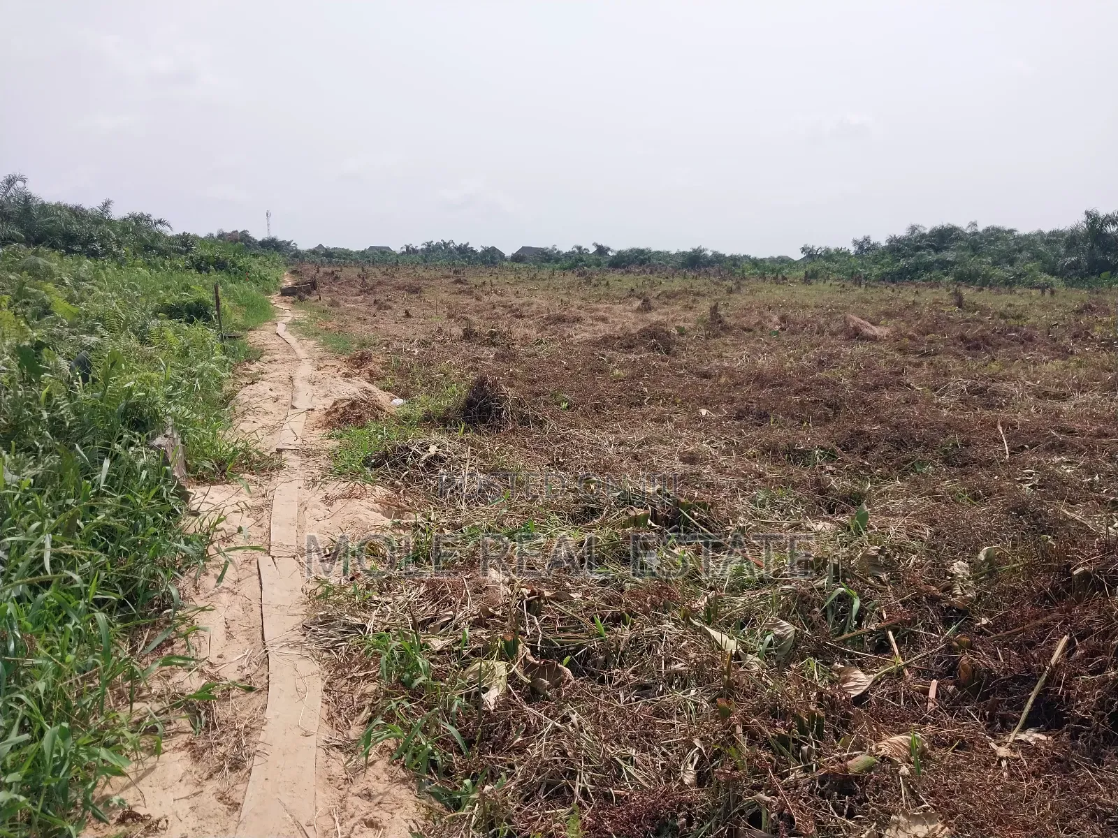 Full Plot of Land Ijegun Festac by Baptist Bustop in Ijegun