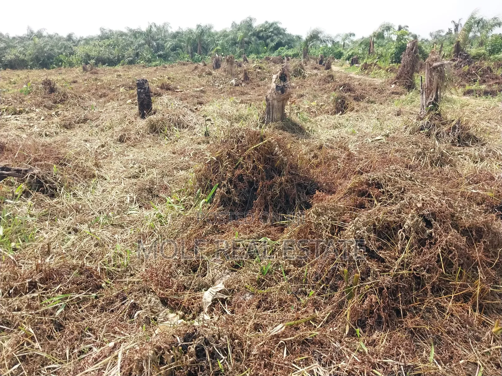 300square Meter Half Plot Ijegun Festac Link in Ijegun