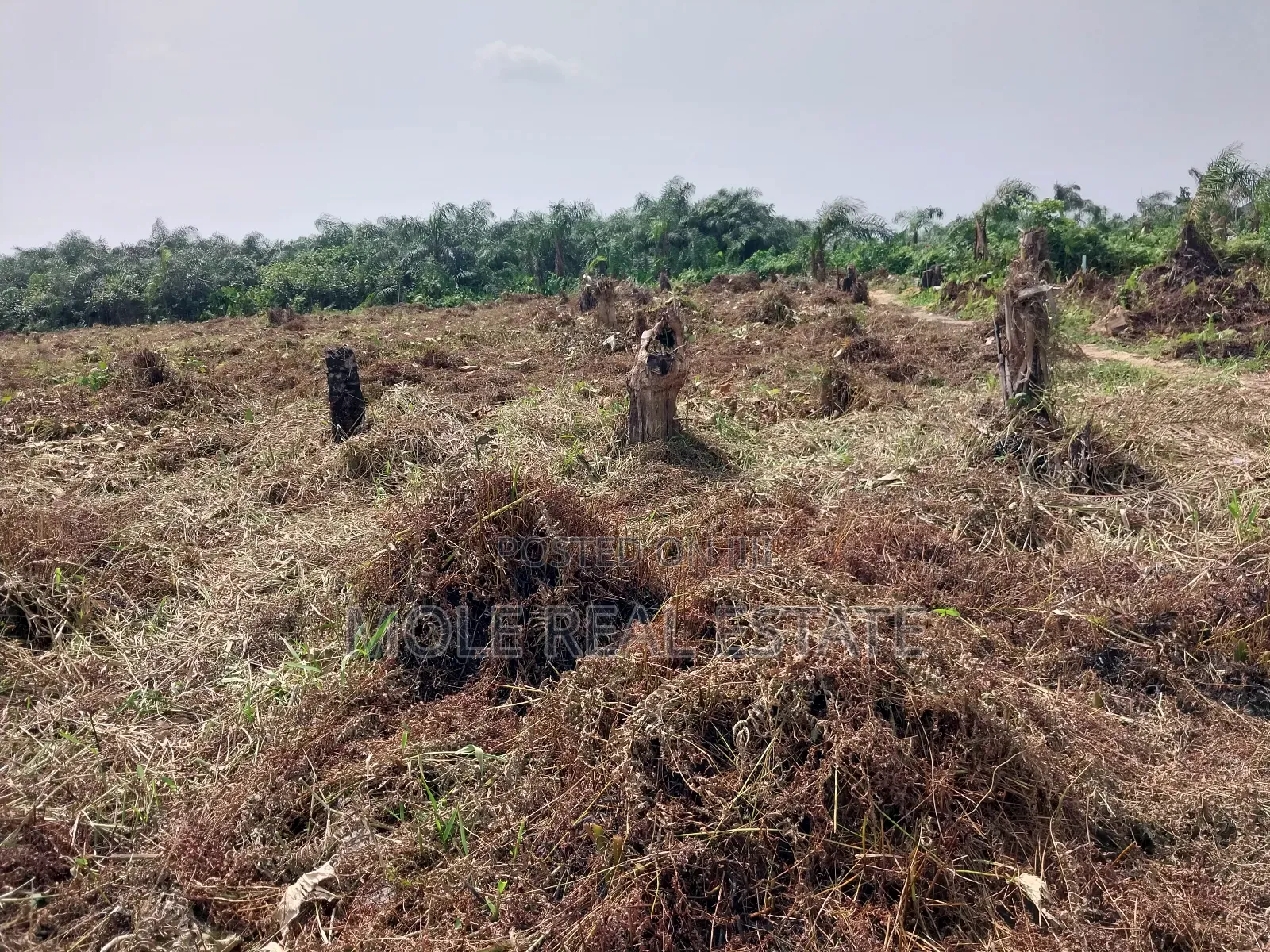 150sqm Quater New Ijegun Festac Link in Ijegun