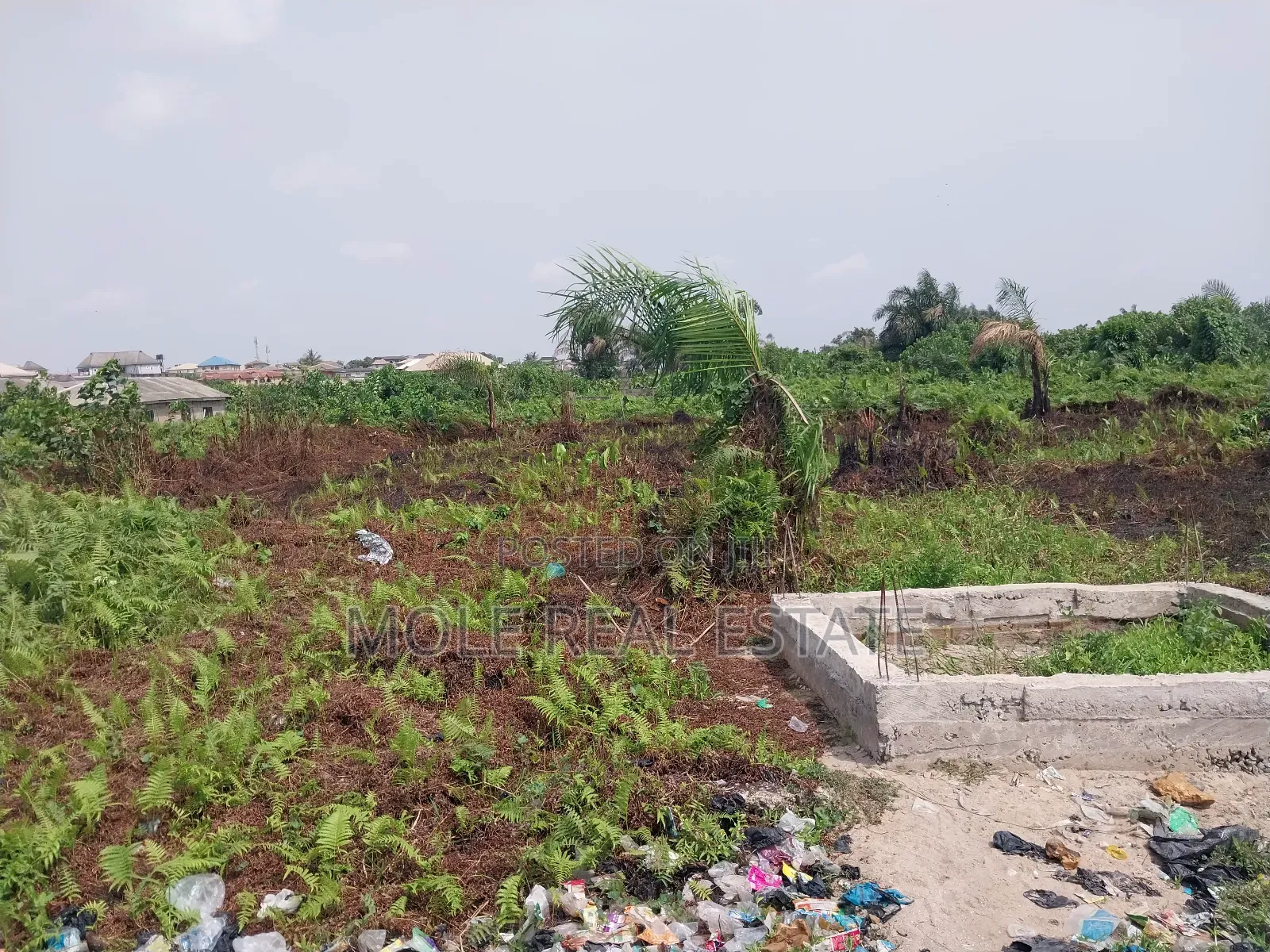 300sqm Half Plot Ijegun Festac New Link RD in Ijegun