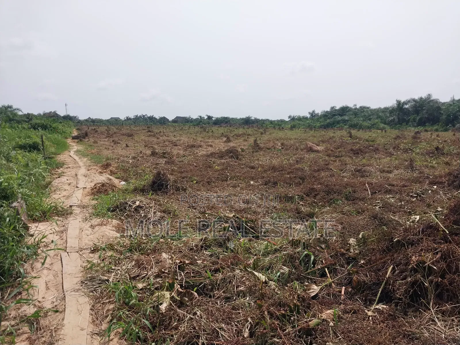 4 ( Four) Plots Ijegun Baptist Bustop by New Major RD in Ijegun