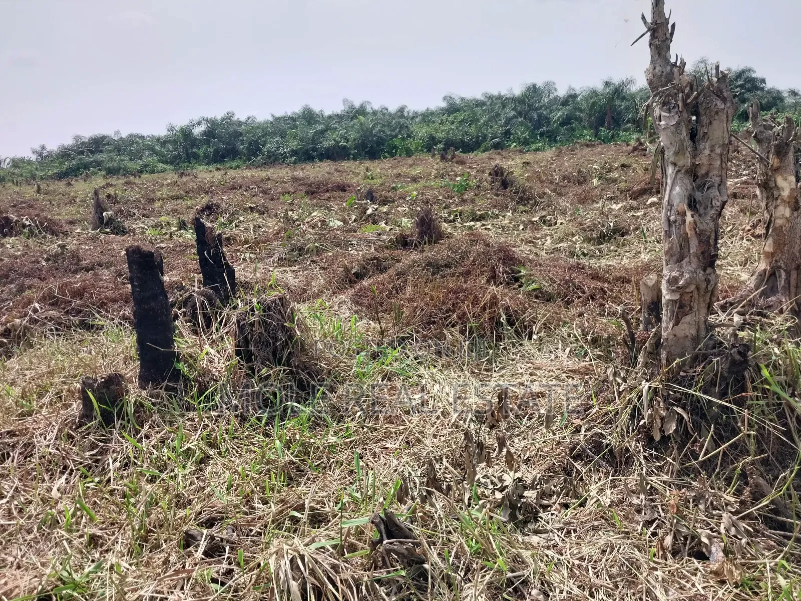4 ( Four) Plots Ijegun Baptist Bustop by New Major RD in Ijegun