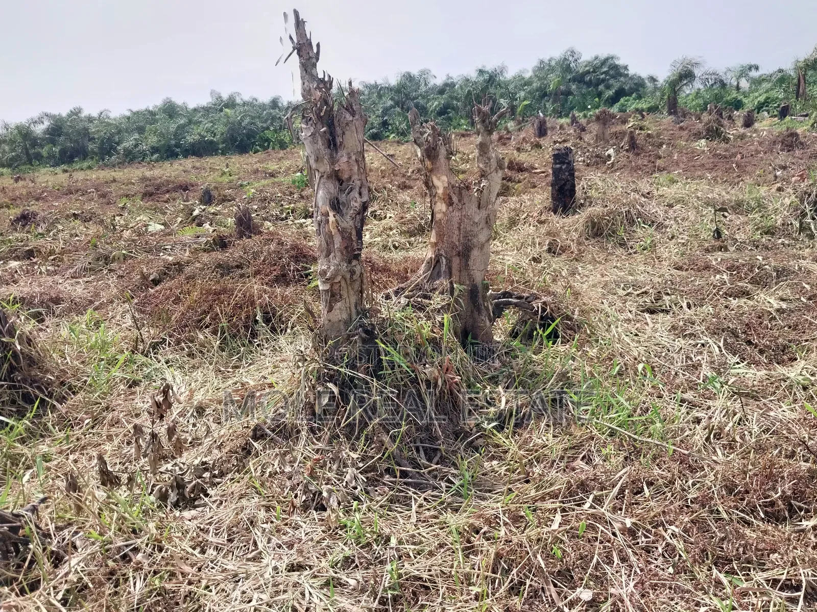 4 ( Four) Plots Ijegun Baptist Bustop by New Major RD in Ijegun