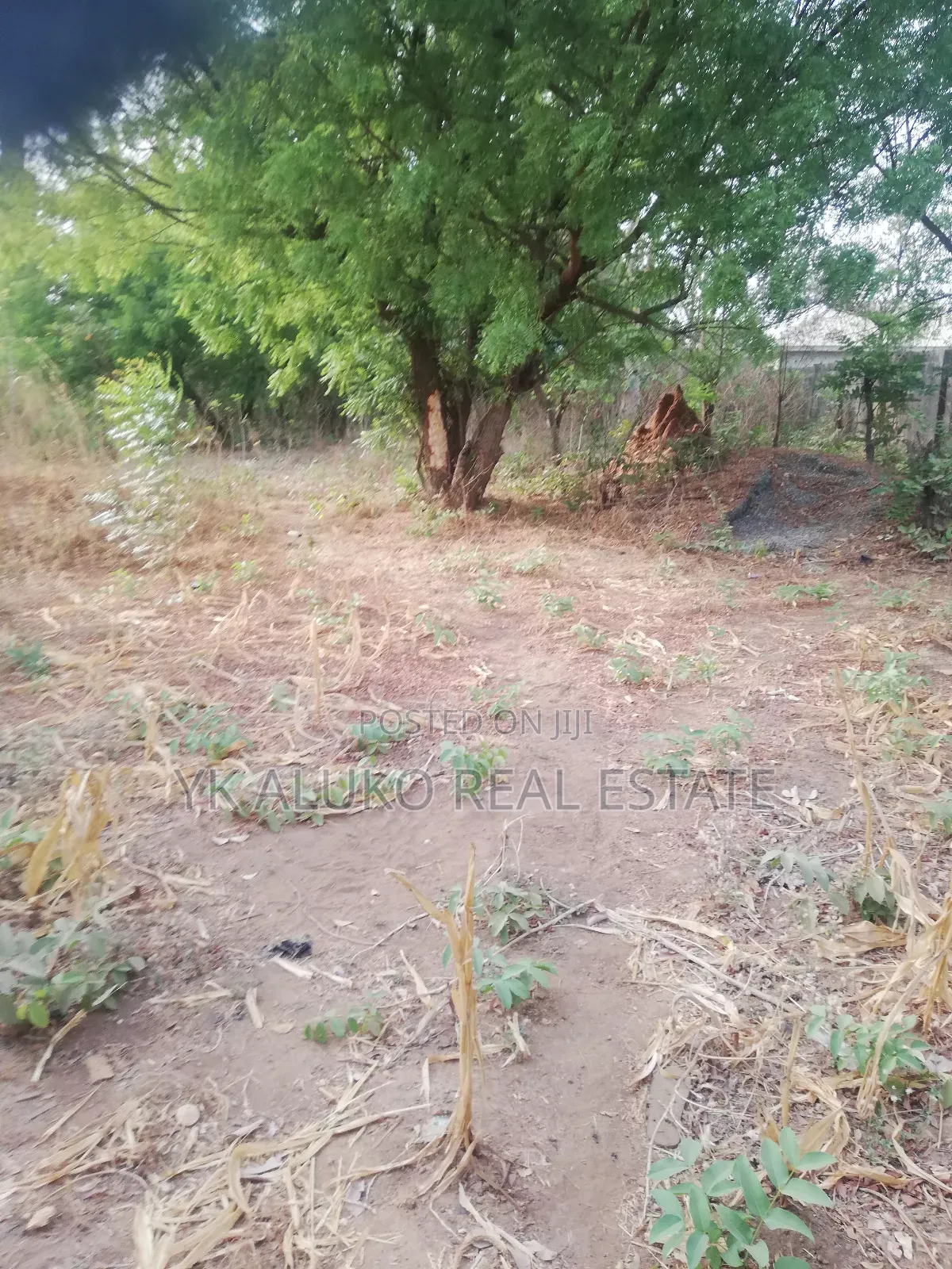 Certificate of Occupancy in Ilorin South