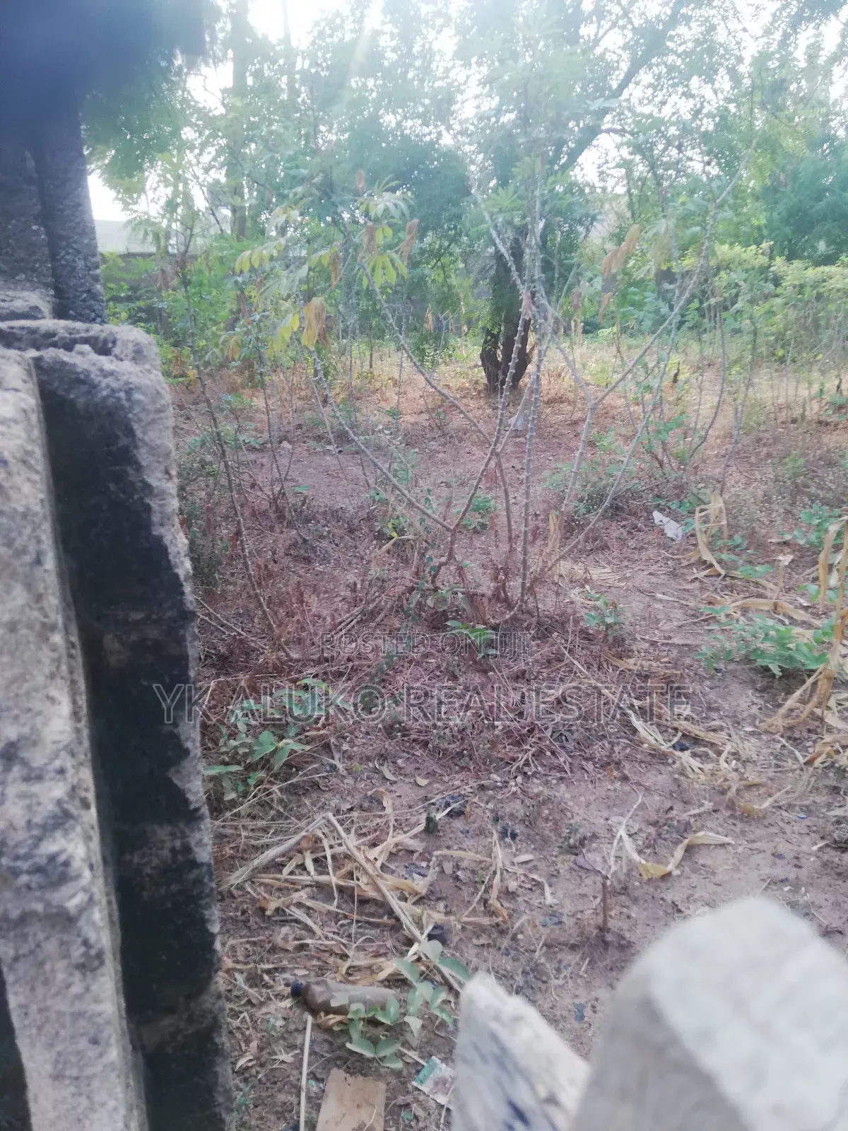 Certificate of Occupancy in Ilorin South