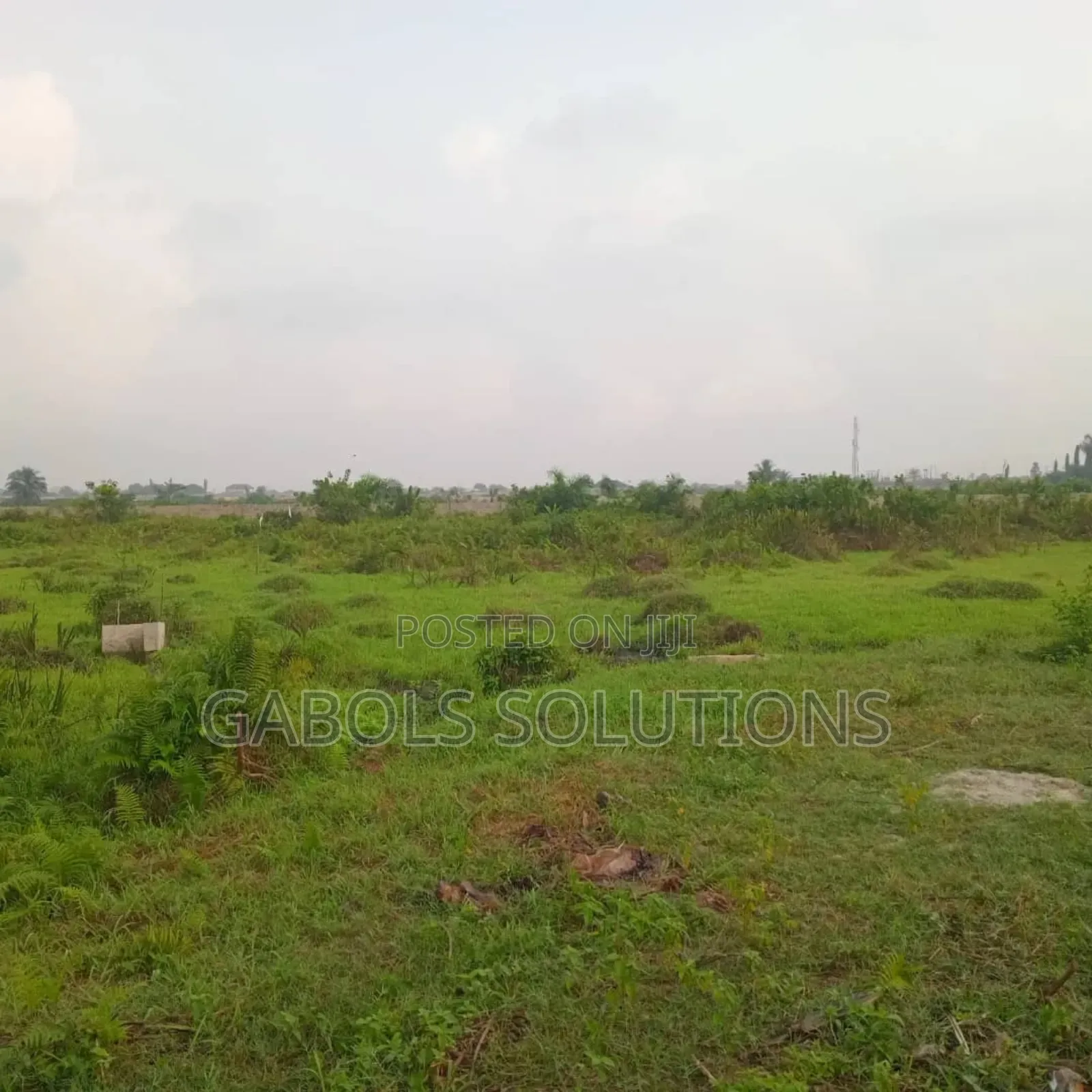 50 Acres Facing the Express in Eleko