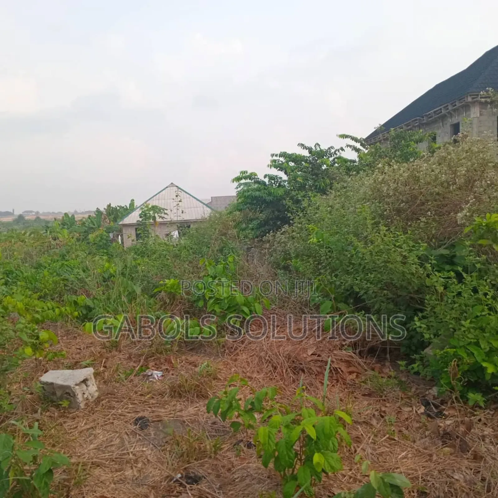 20 Acres of Land in Kayetoro in Eleko