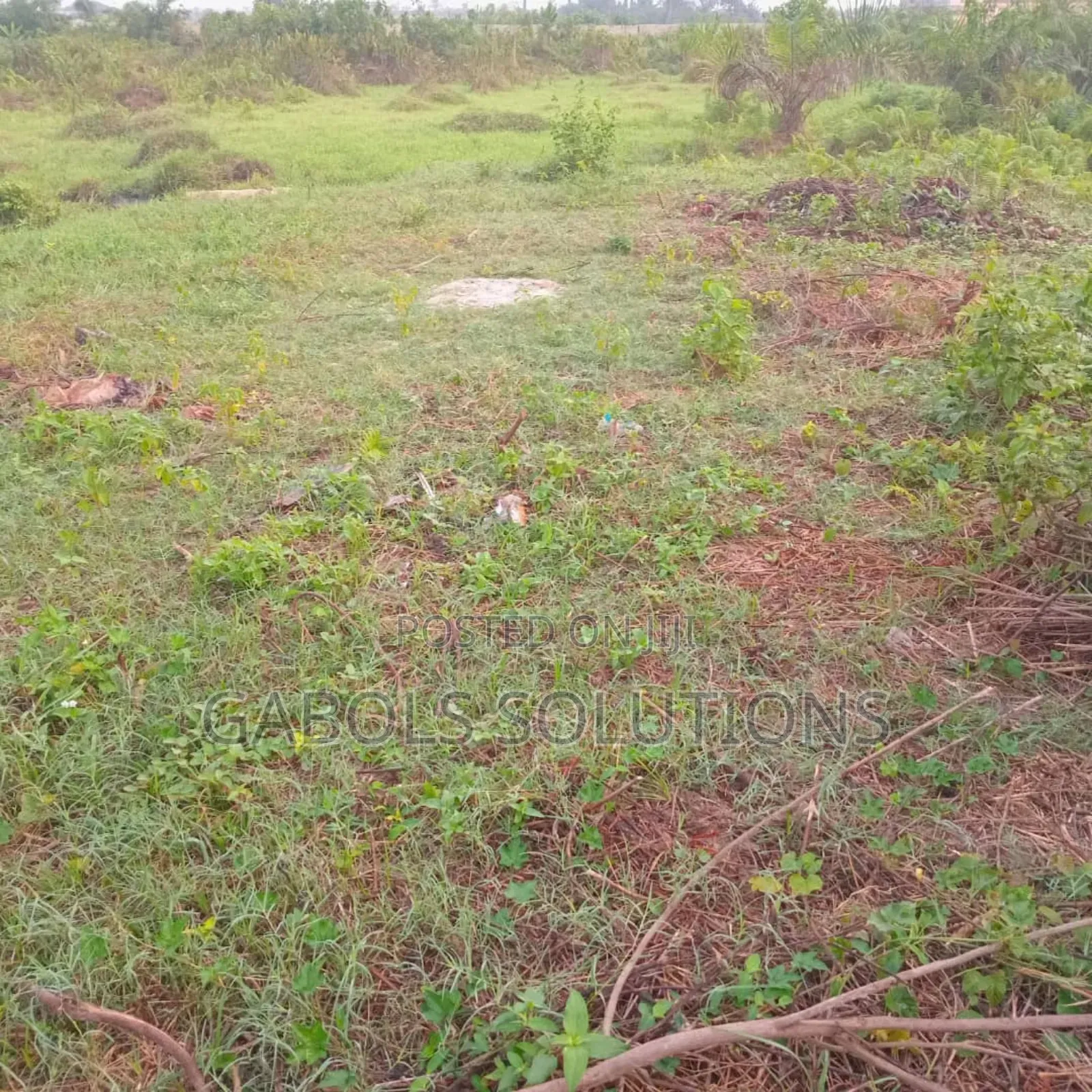 20 Acres of Land in Kayetoro in Eleko