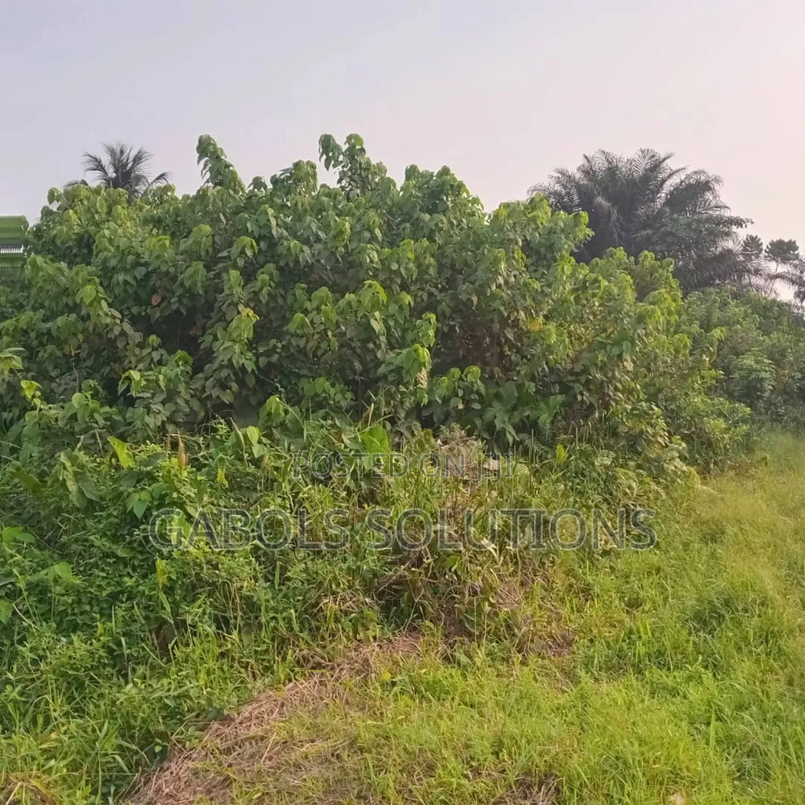 9 Plots of Land Facing Express in Bogije. Title: Consent in Bogije