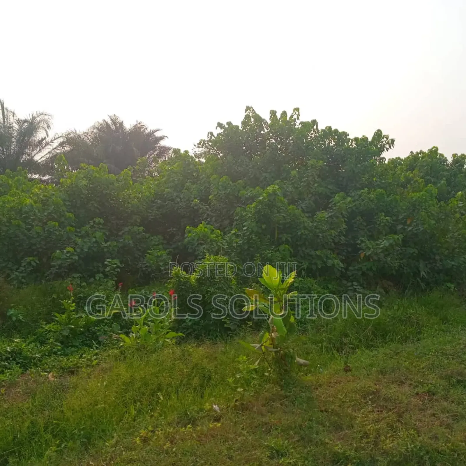 4, Plots Facing Express, Oribanwa. Title: Consent in Awolowo Way