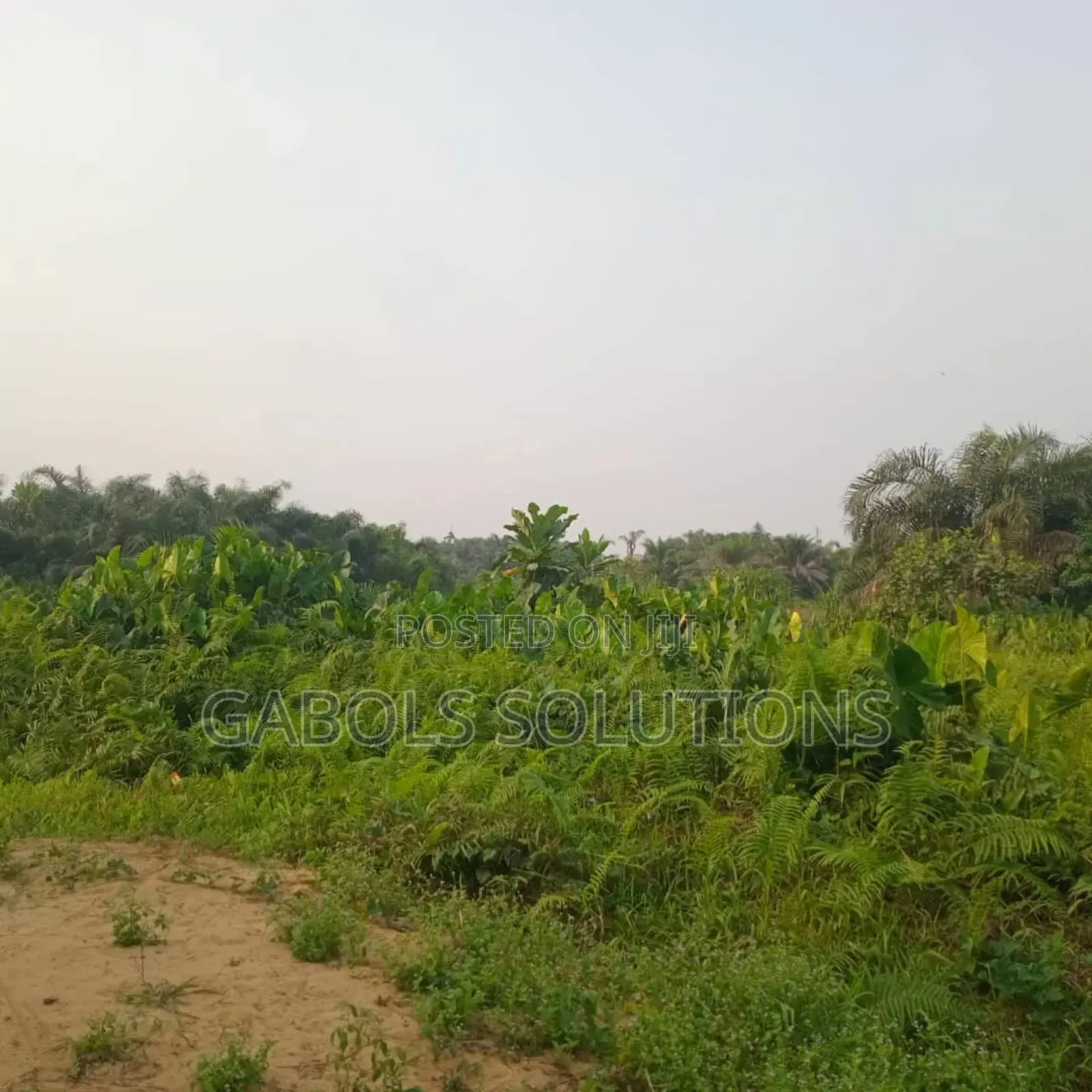 4, Plots Facing Express, Oribanwa. Title: Consent in Awolowo Way