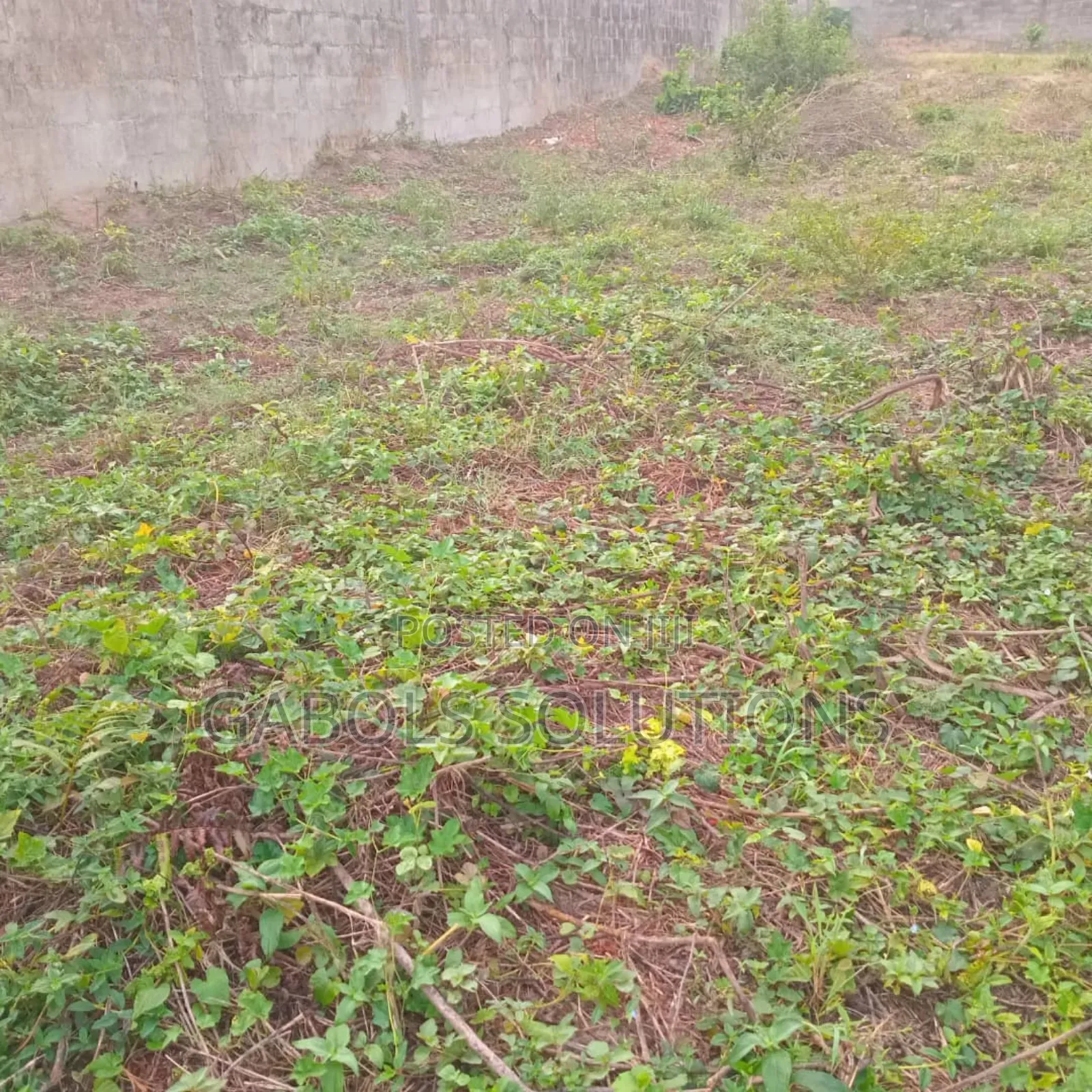 12 Plots in Ogunfayo. Title: Village Excision. Price: 40m in Awolowo Way