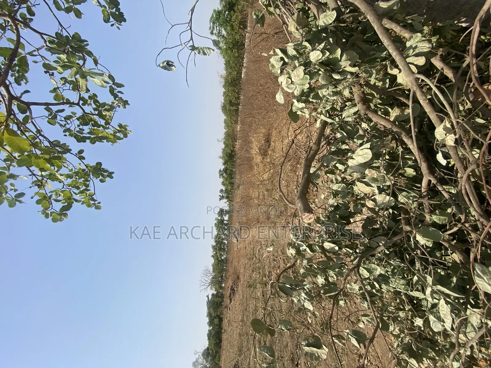 Commercial Land for Sale in Dakibiyu