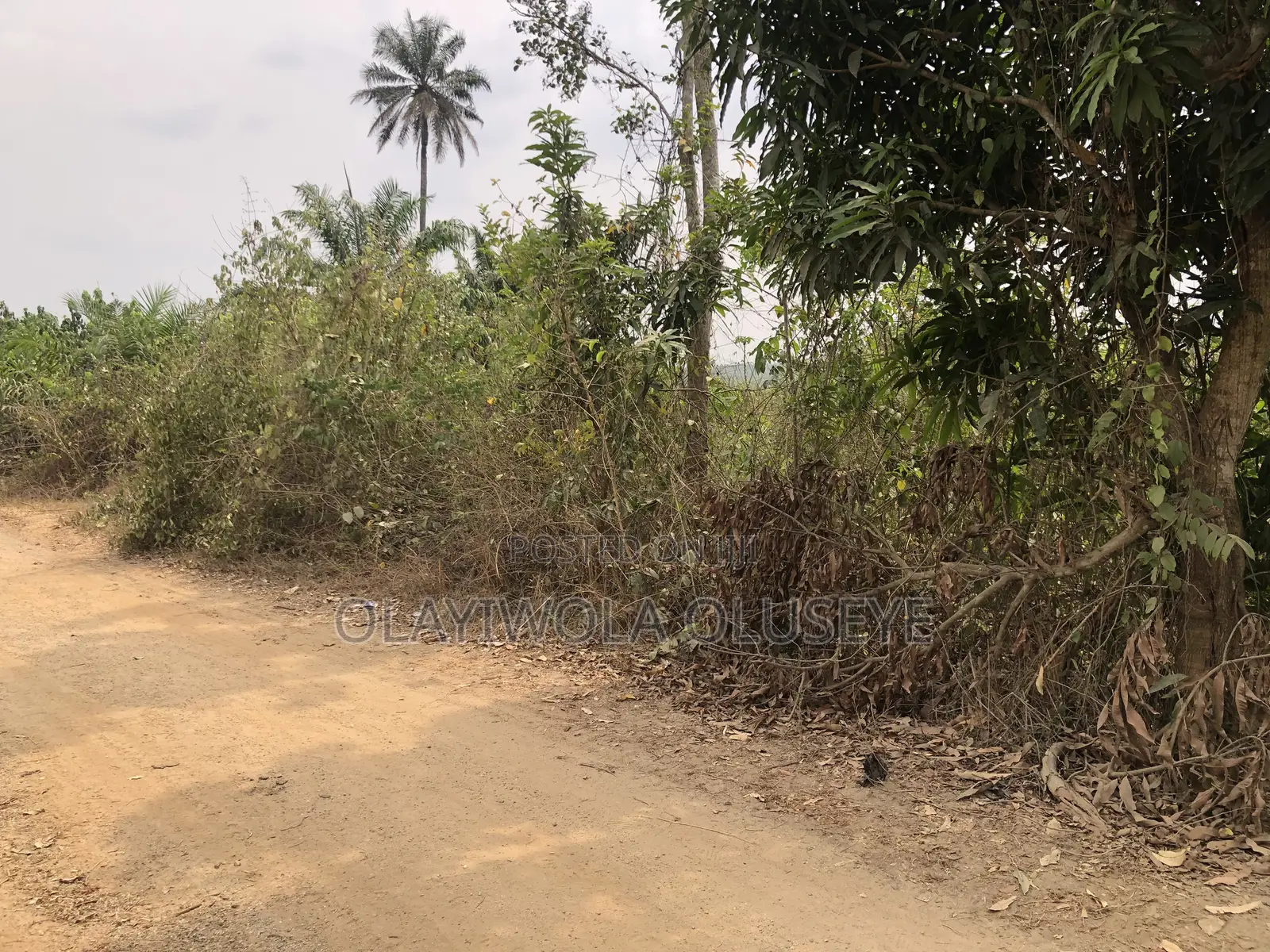 Agric Farmland in Ogun State Nigeria in Obafemi-Owode
