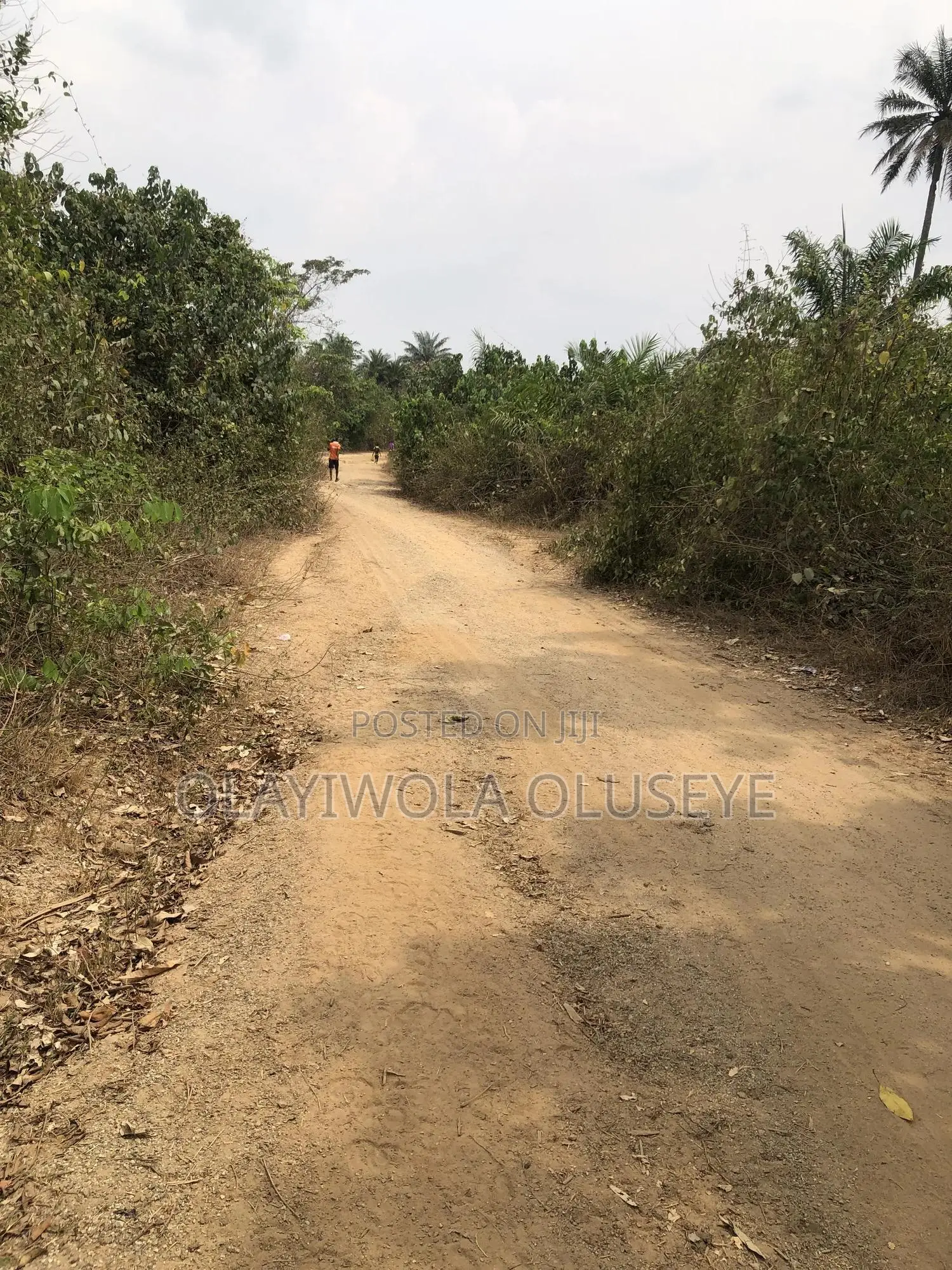 Agric Farmland in Ogun State Nigeria in Obafemi-Owode