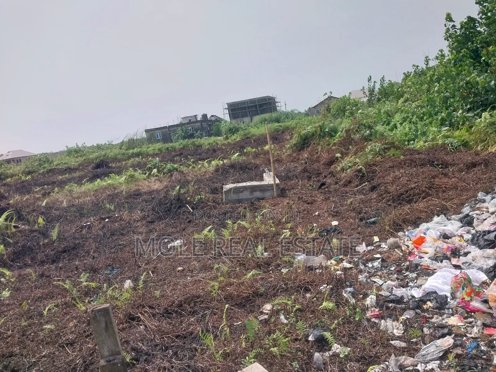 30ft by 120ft Ijegun Festac New Link Near Rd in Ijegun