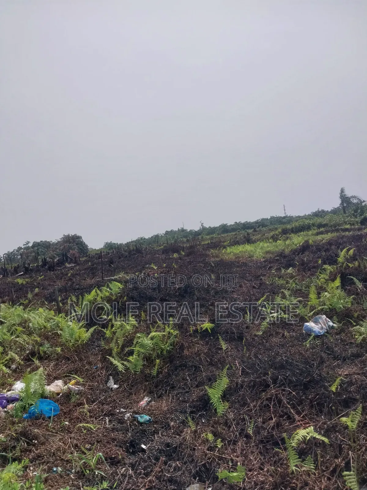 30ft by 120ft Ijegun Festac New Link Near Rd in Ijegun