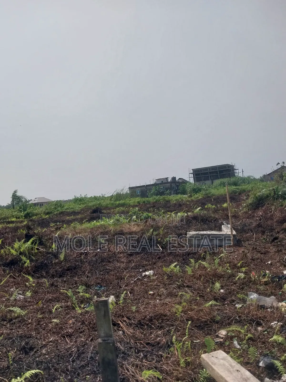 30ft by 120ft Ijegun Festac New Link Near Rd in Ijegun