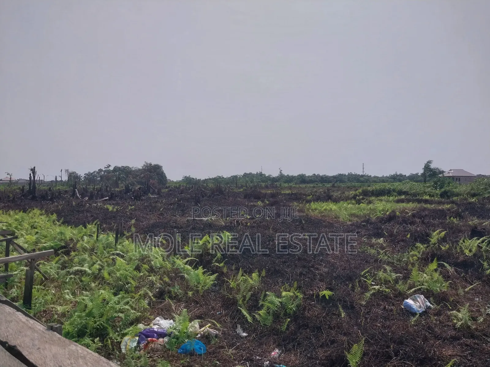 120ft by 60ft Full Plot Ijegun Lasu Link Verified in Ijegun
