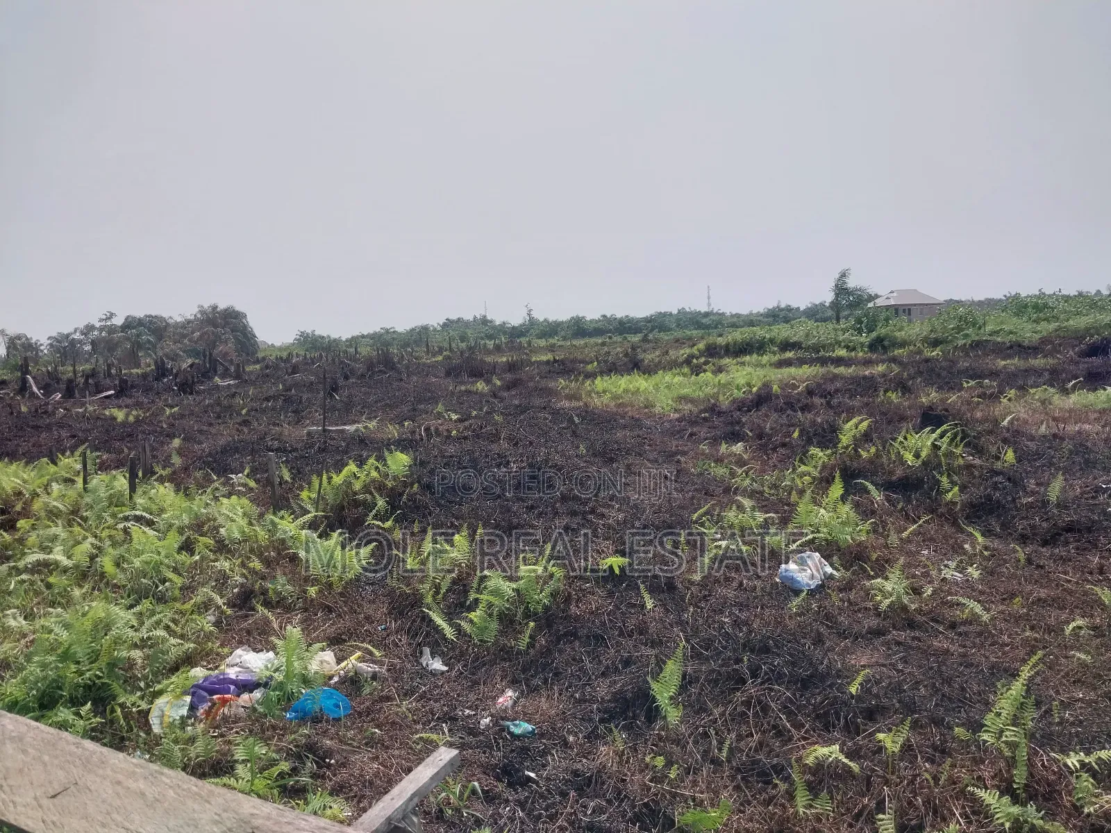 120ft by 60ft Full Plot Ijegun Lasu Link Verified in Ijegun