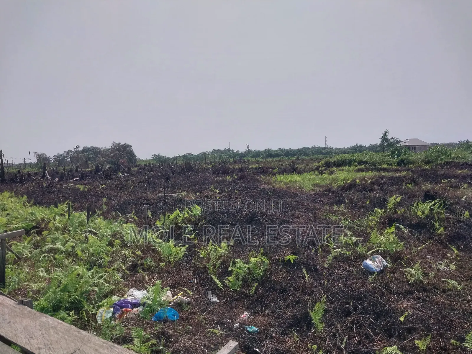 120ft by 60ft Full Plot Ijegun Lasu Link Verified in Ijegun
