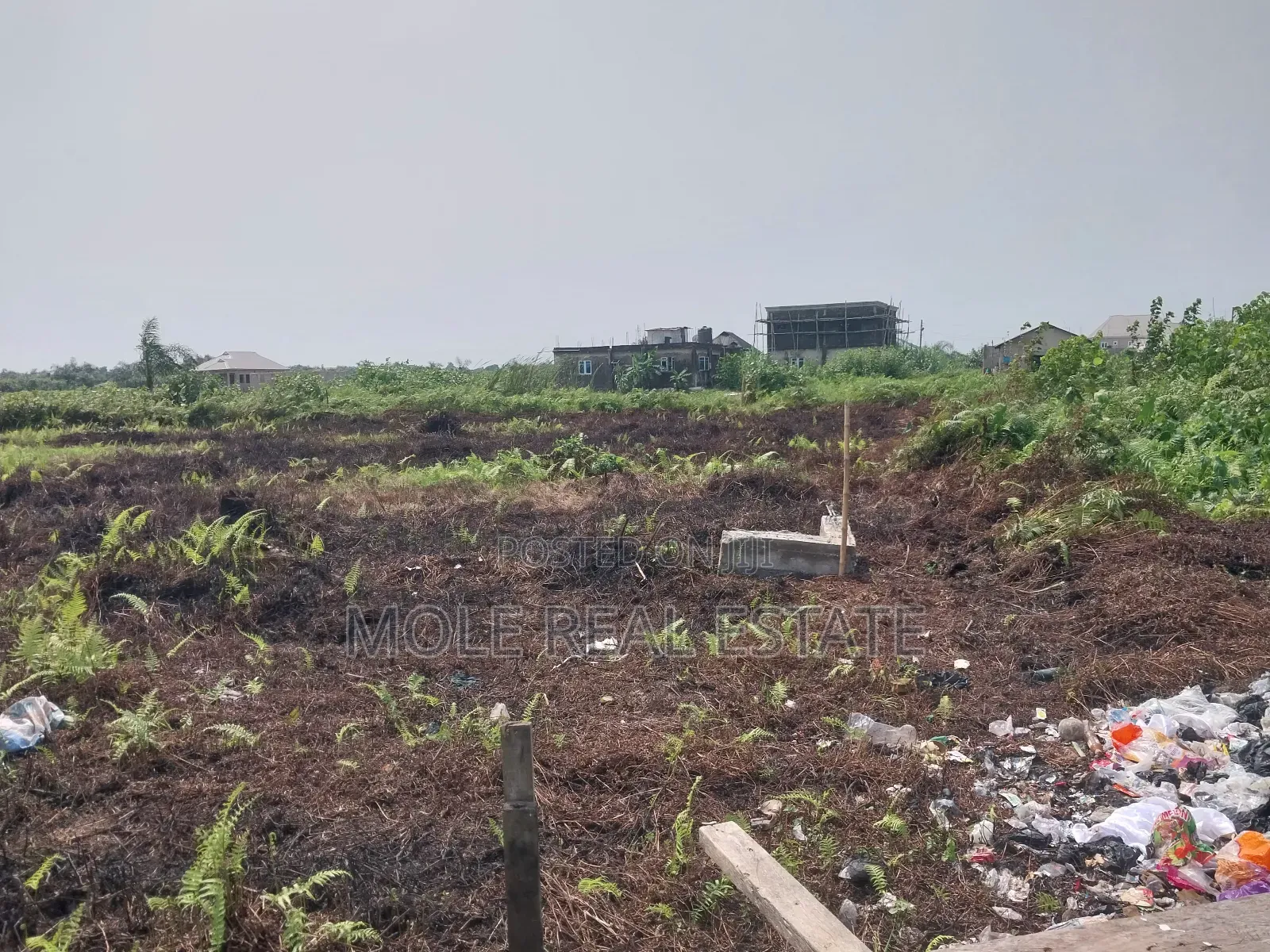 120ft by 60ft Full Plot Ijegun Lasu Link Verified in Ijegun