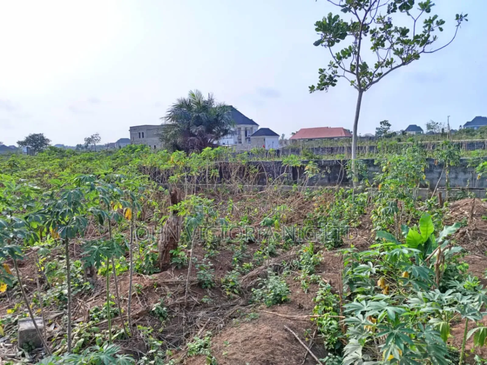Governor's Concepts in Obafemi-Owode