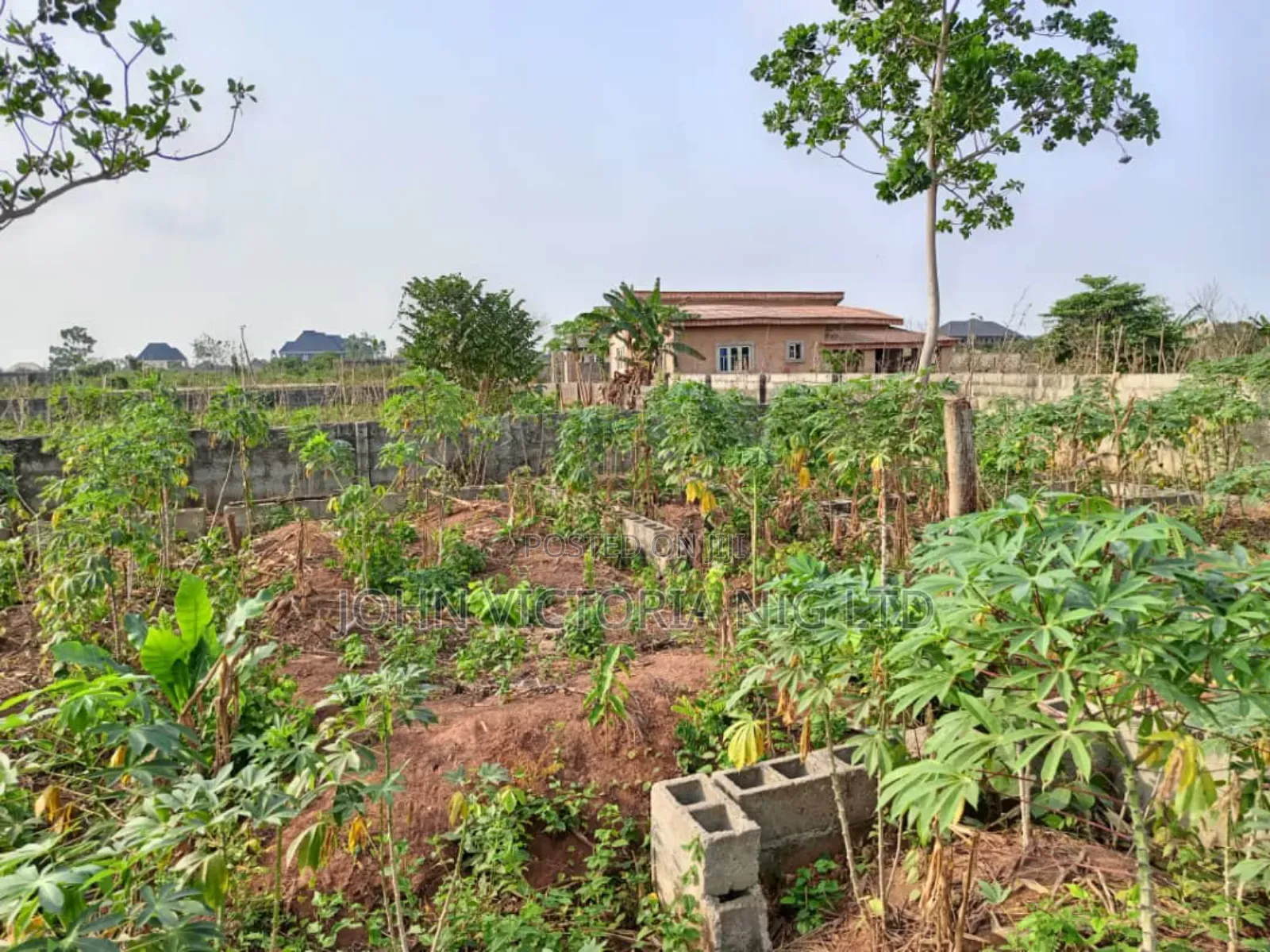 Governor's Concepts in Obafemi-Owode