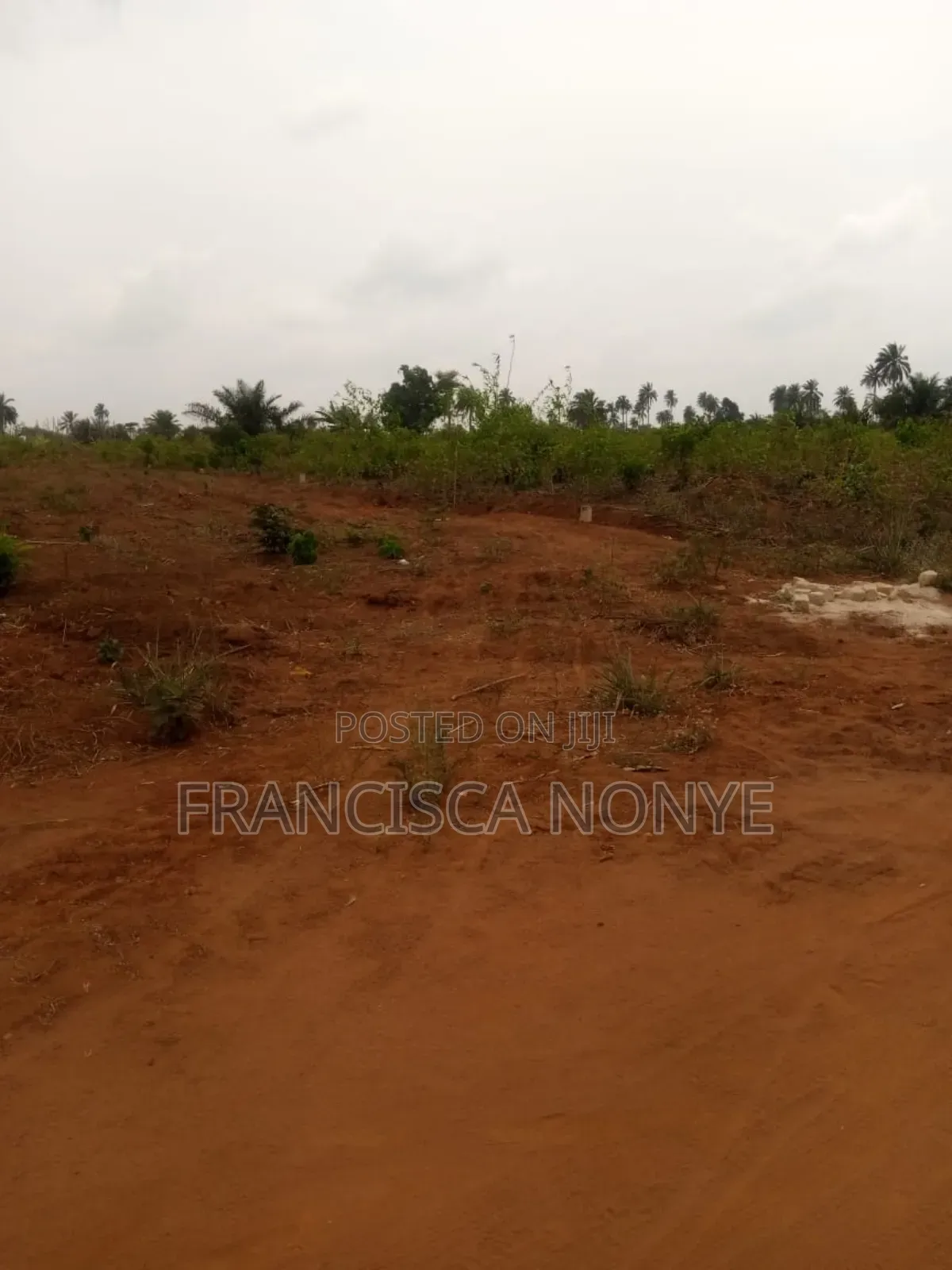 Own an Asset That Multiplies in Value While You Sleep in Aniocha North