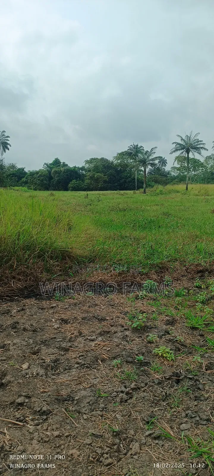 Massive Farm Lands for Sale in Abeokuta South in Abeokuta South