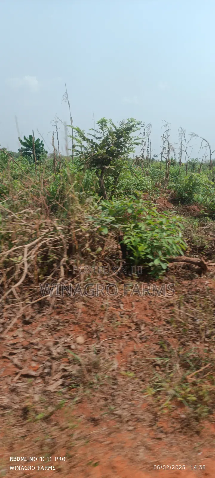 Massive Farm Lands for Sale in Abeokuta South in Abeokuta South
