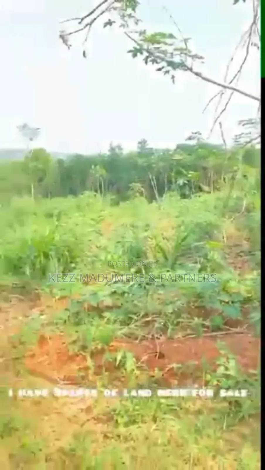 For Sale : 3 Plots at Trans Ekulu , Enugu in Port-Harcourt