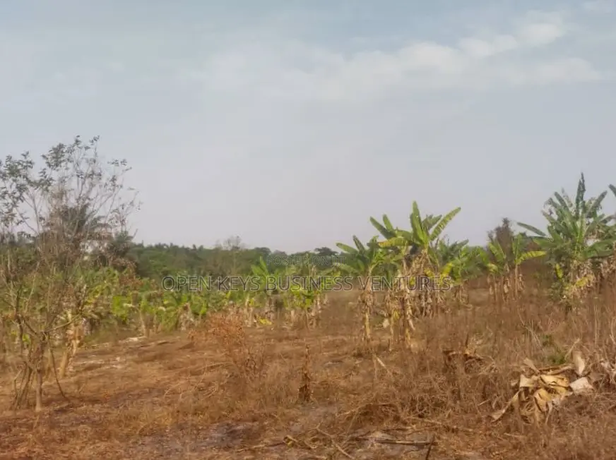 20 Plots of Residential Land in Akala Express