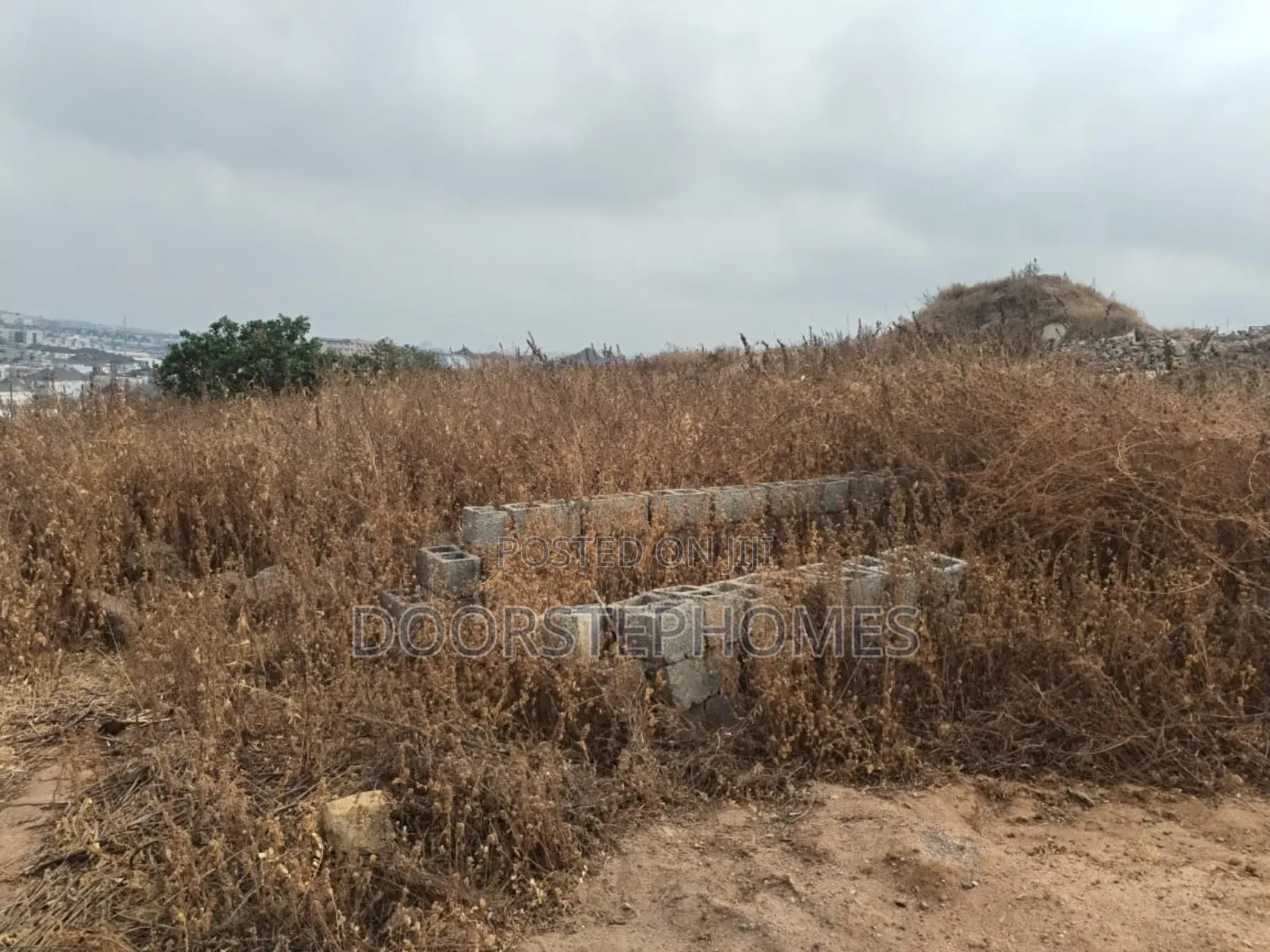 15.45 Hectares of Land in Apo Wasa for Sale in Wasa