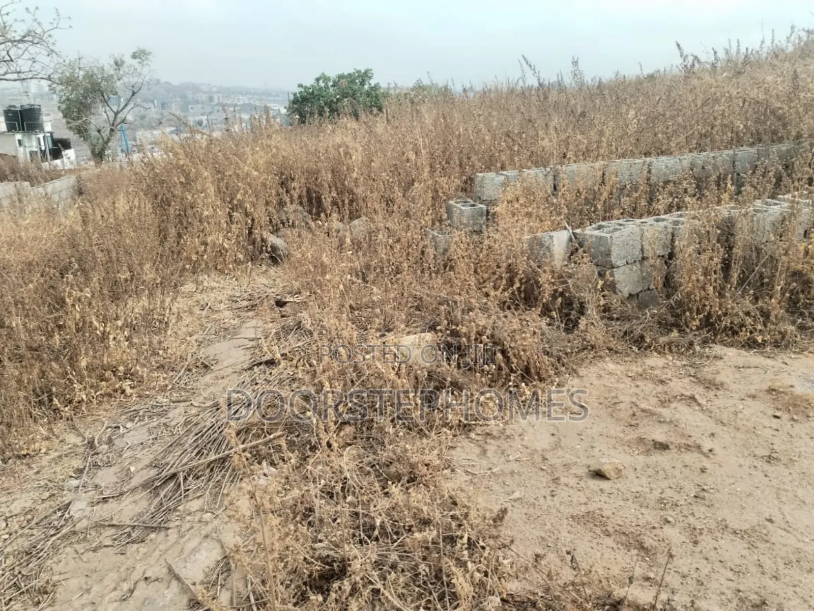 15.45 Hectares of Land in Apo Wasa for Sale in Wasa