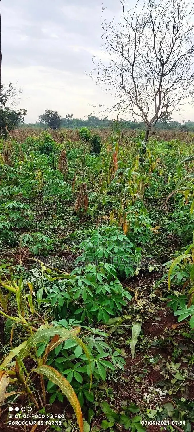 For Sale;Land Specially for Agriculture in Ogun in Abeokuta South
