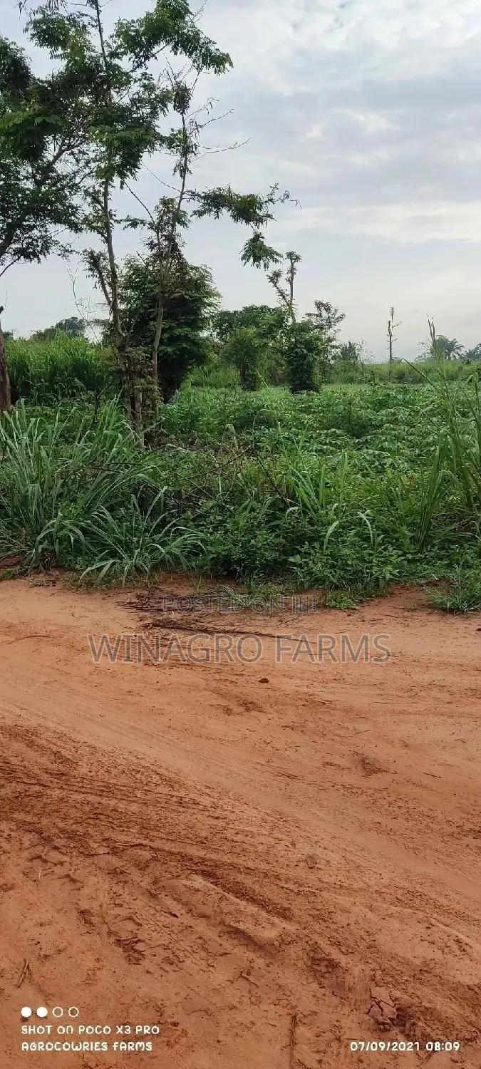 For Sale;Land Specially for Agriculture in Ogun in Abeokuta South