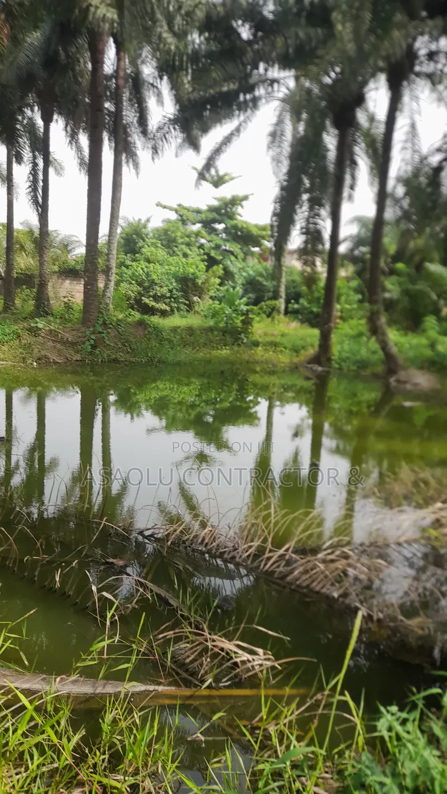 Fish Pounds for Rent Close to Ilesha Garage Akure in Akure