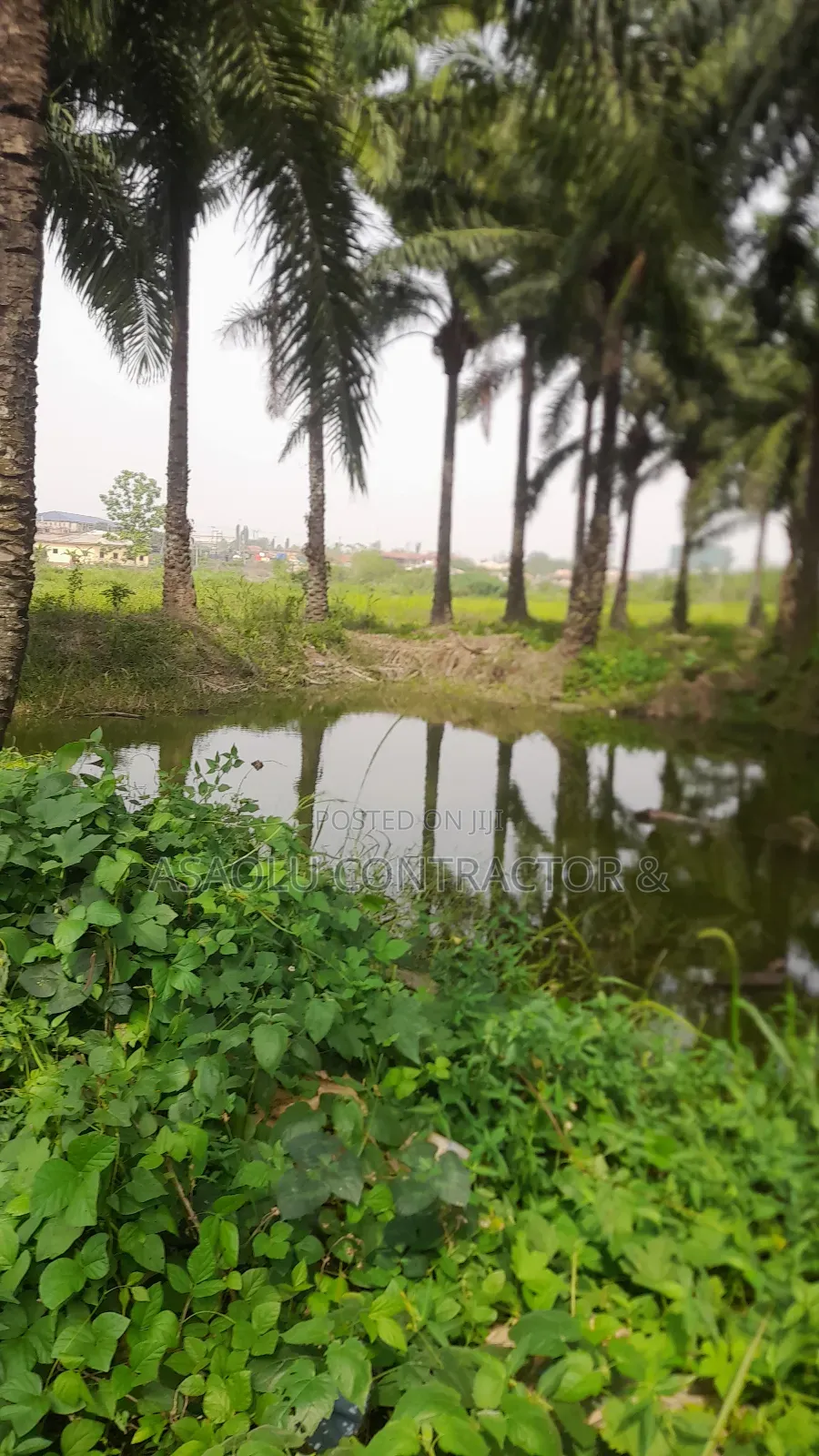Fish Pounds for Rent Close to Ilesha Garage Akure in Akure