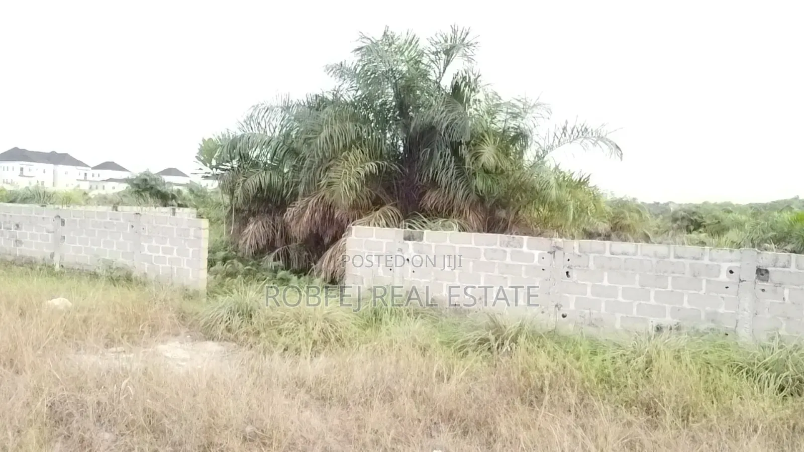 Prime Investment Alert in Aiyeteju