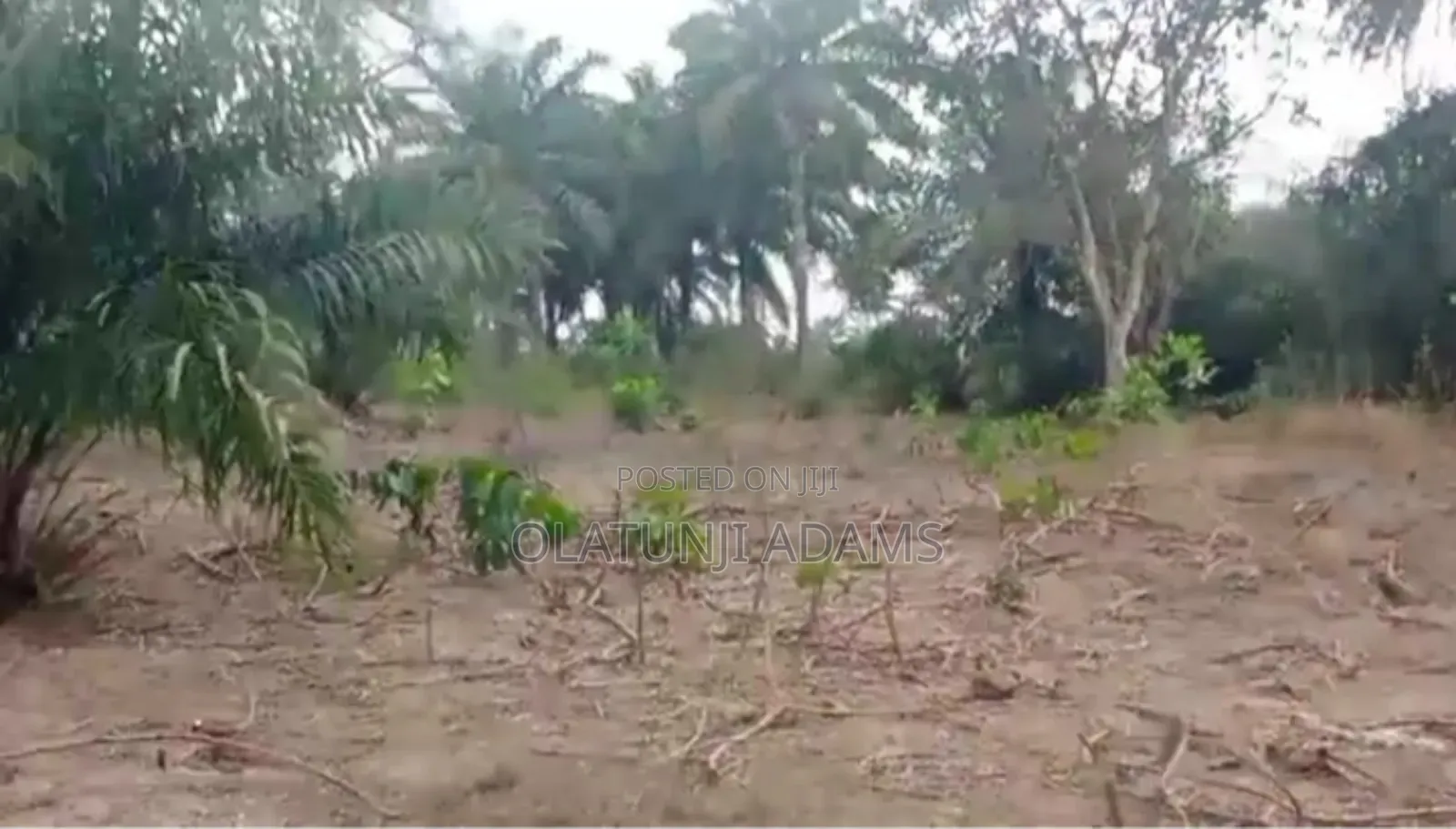 3000acres of Farmland at Ikire Town in Osogbo