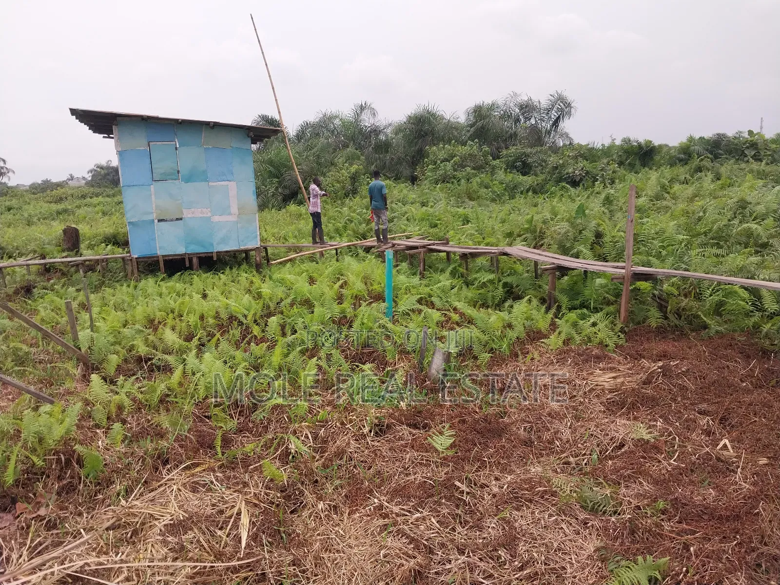 13 Plots of Land 4 Sale at Shasha Near Air Force Alimosho in Shasha
